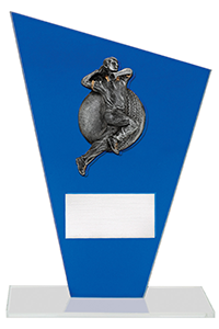 Blue Cricket Trophy with engraving plaque